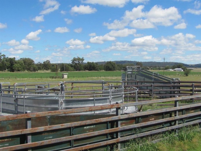 Warwick QLD 4370