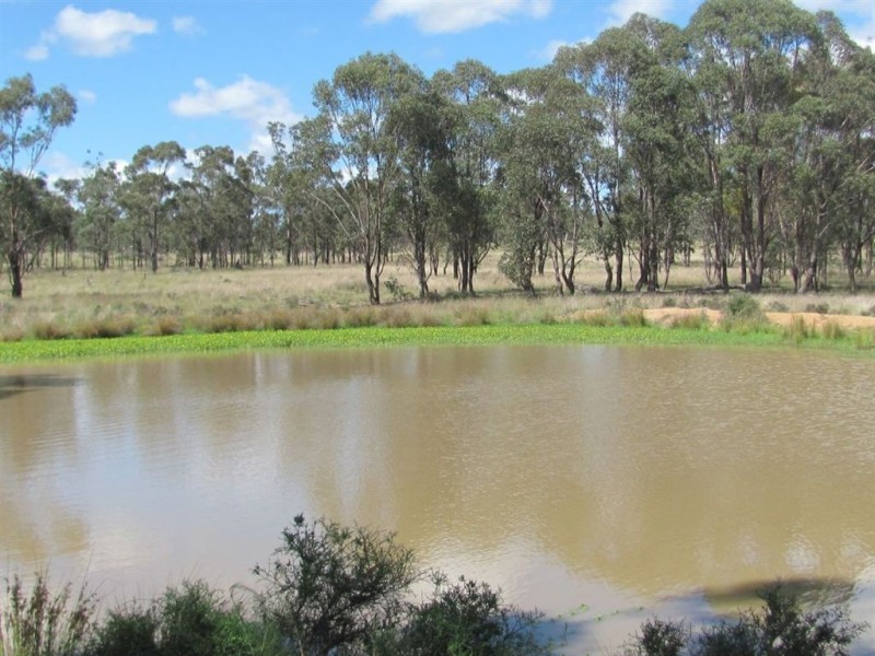 Cunningham QLD 4370