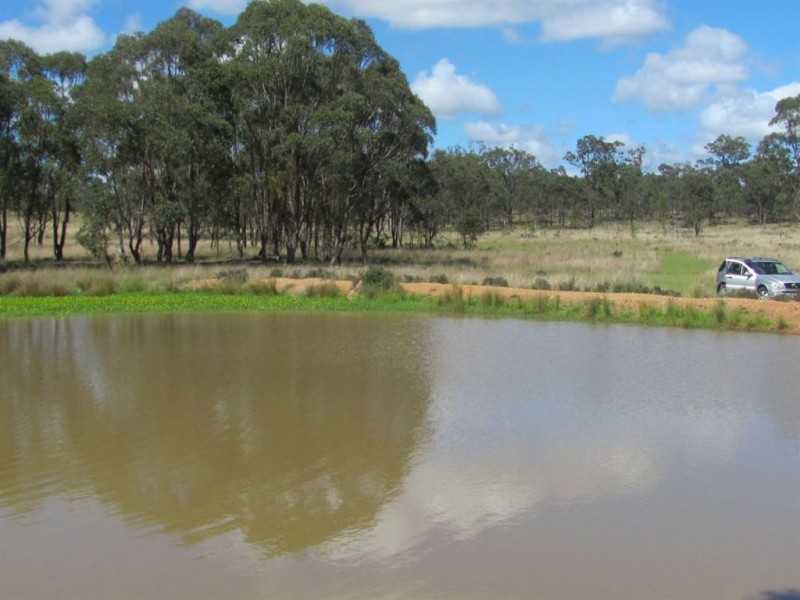 Cunningham QLD 4370