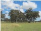 Cunningham QLD 4370