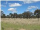 Cunningham QLD 4370