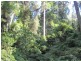 Swanfels QLD 4371