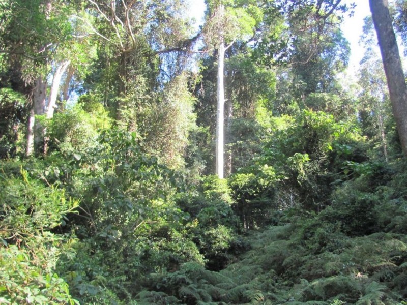 Swanfels QLD 4371