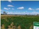 0 Plane St, Tannymorel QLD 4372
