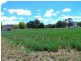 0 Plane St, Tannymorel QLD 4372