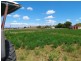 0 Plane St, Tannymorel QLD 4372