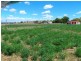 0 Plane St, Tannymorel QLD 4372