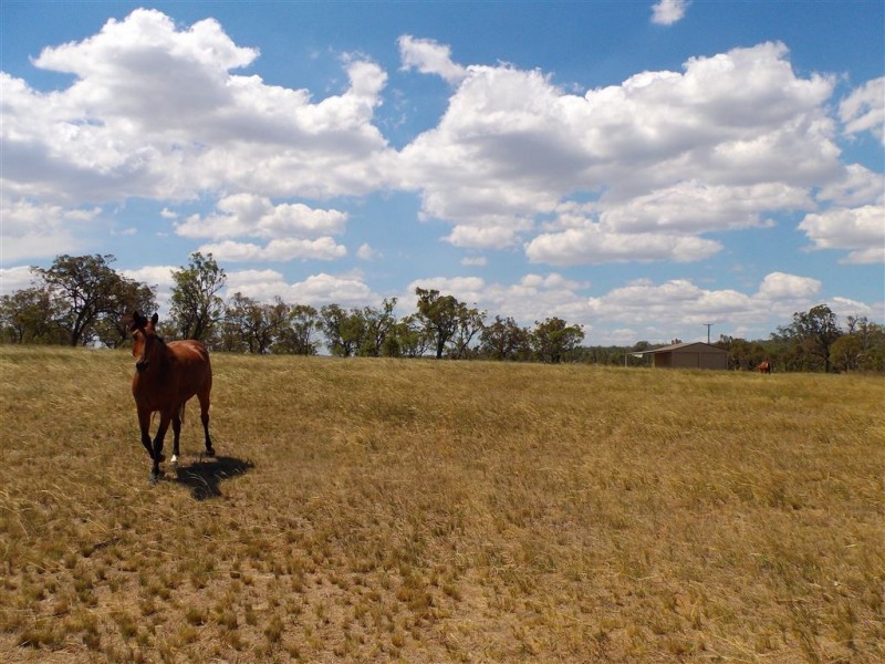 Lot 85 Blacksoil Lane, Bony Mountain, Warwick QLD 4370
