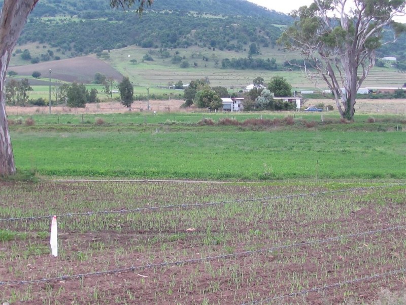 Emu Vale QLD 4371