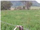 Emu Vale QLD 4371