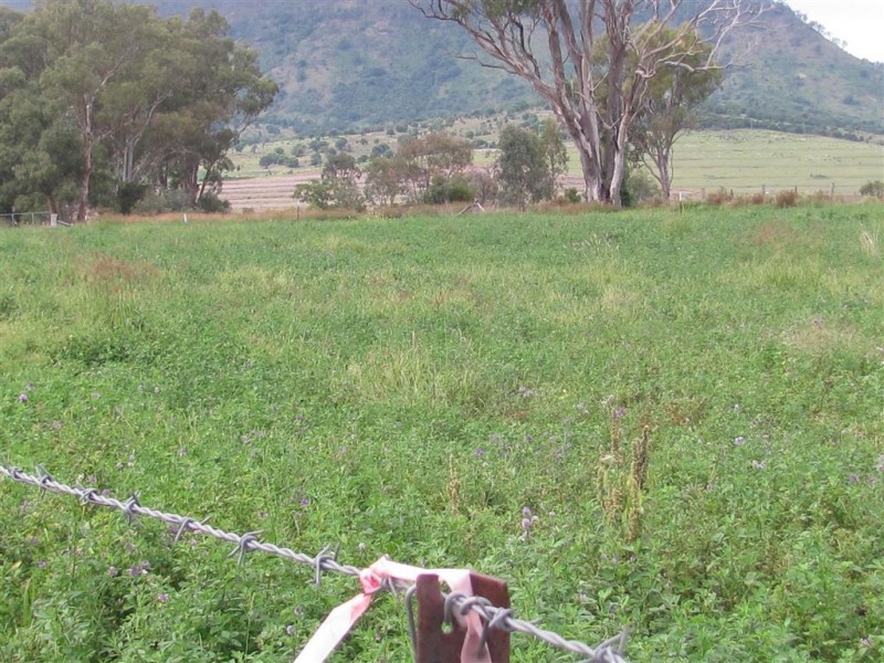 Emu Vale QLD 4371