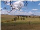 1290a Freestone Rd, Freestone QLD 4370