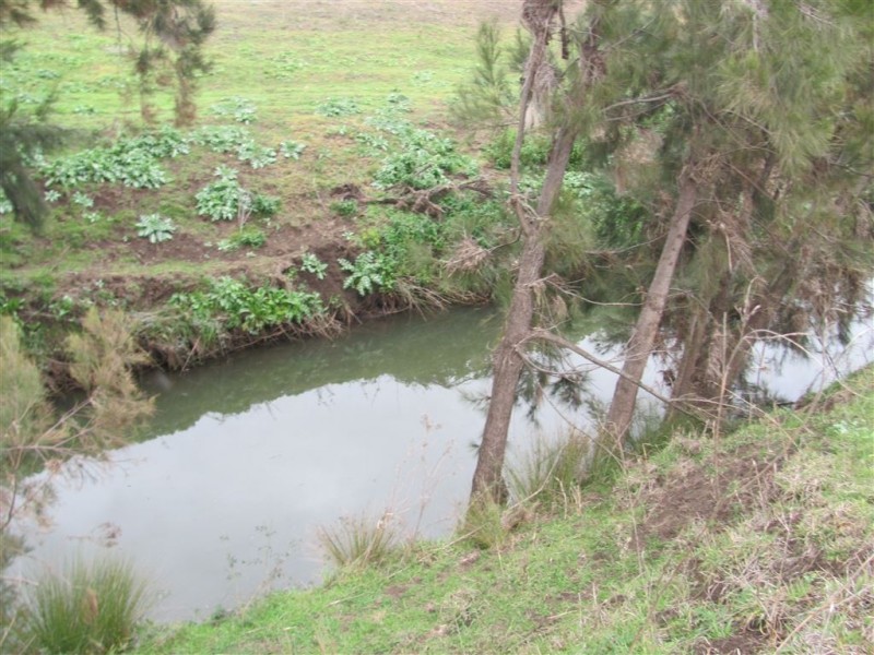 Allora QLD 4362