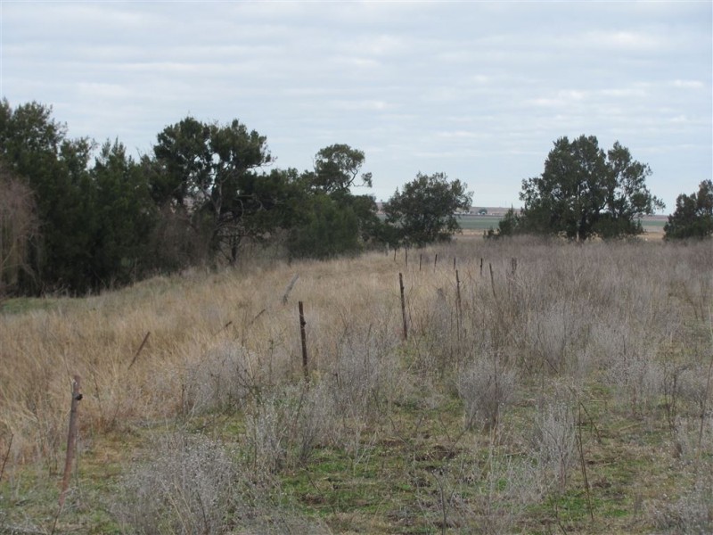 Allora QLD 4362