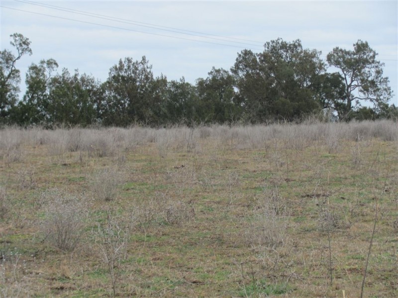 Allora QLD 4362