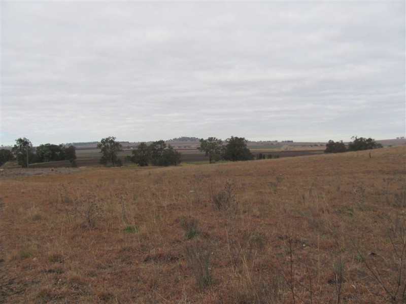 Allora QLD 4362