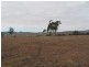 Allora QLD 4362
