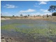Dalveen QLD 4374