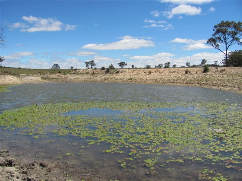 Dalveen QLD 4374