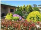 Dalveen QLD 4374