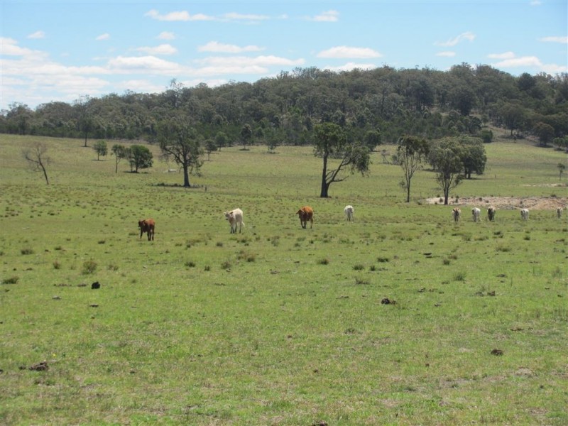 Dalveen QLD 4374