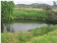 Yangan QLD 4371