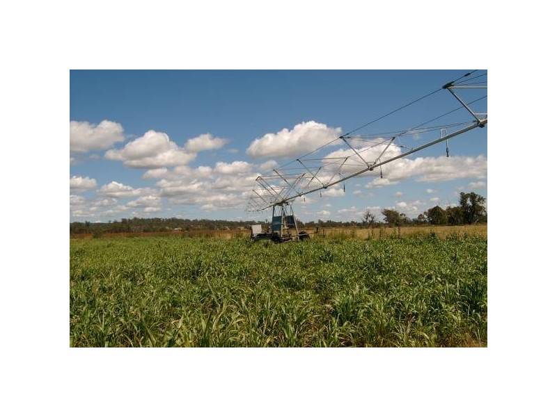 Warwick QLD 4370