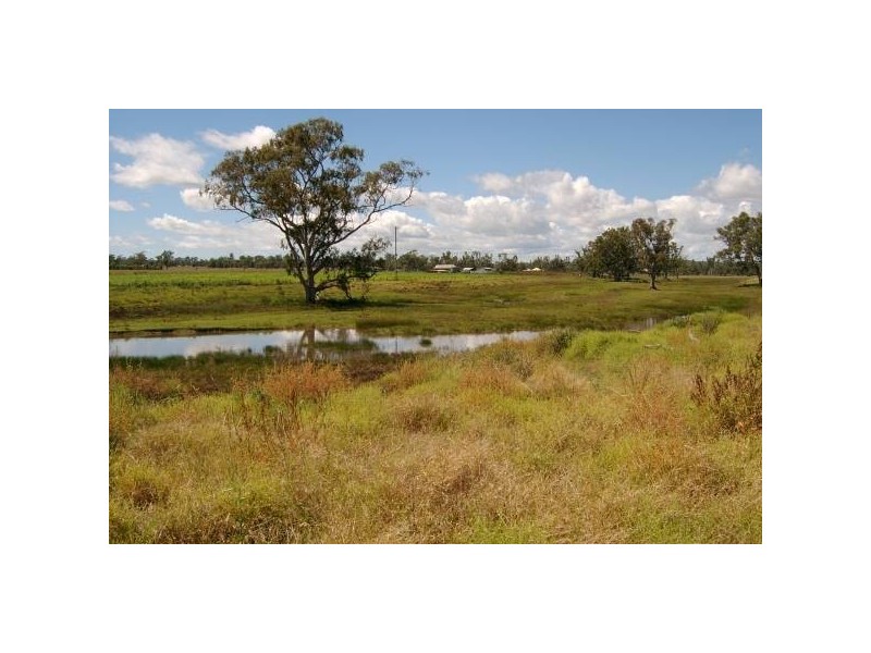 Warwick QLD 4370