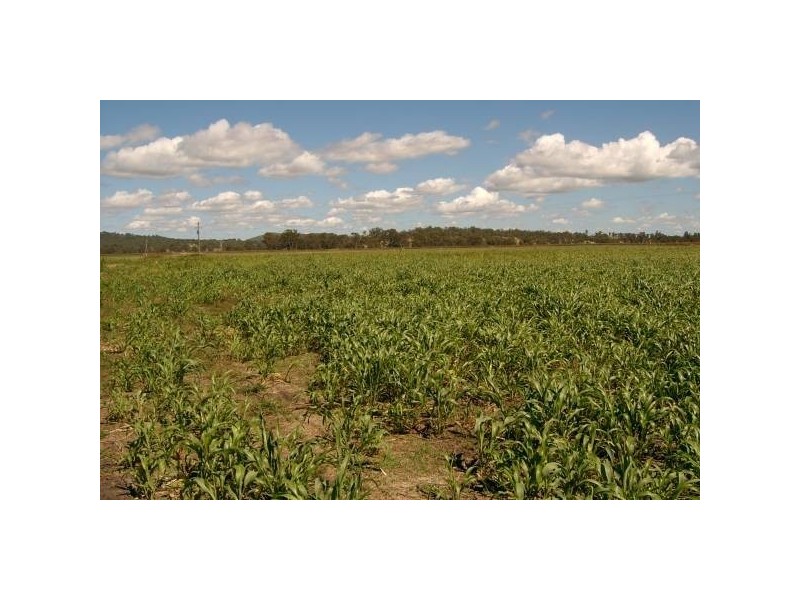 Warwick QLD 4370