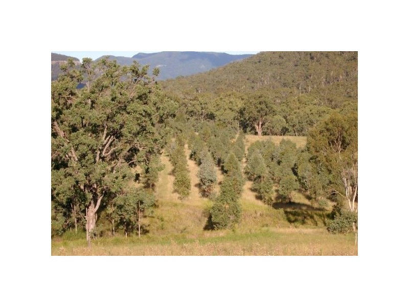 Emu Vale QLD 4371