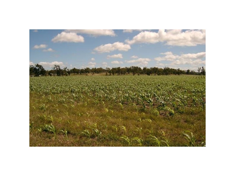 Warwick QLD 4370