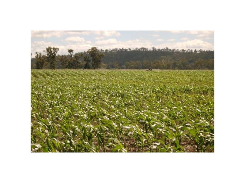 Warwick QLD 4370