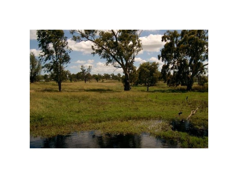 Warwick QLD 4370