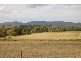 Emu Vale QLD 4371