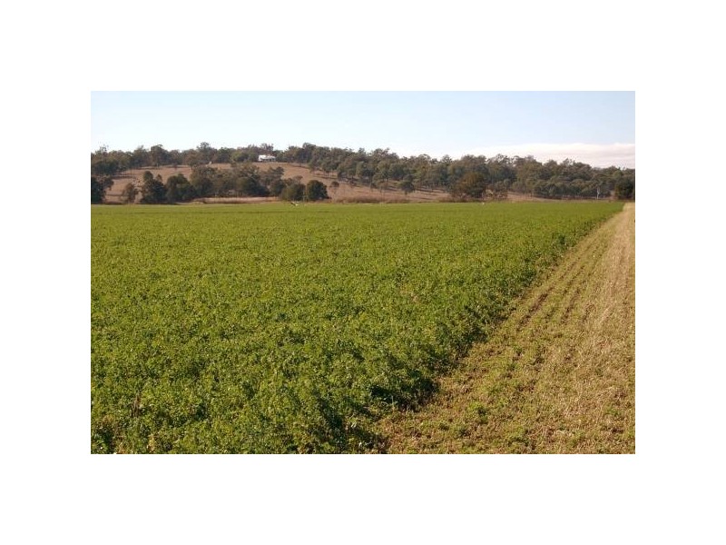 Elbow Valley QLD 4370