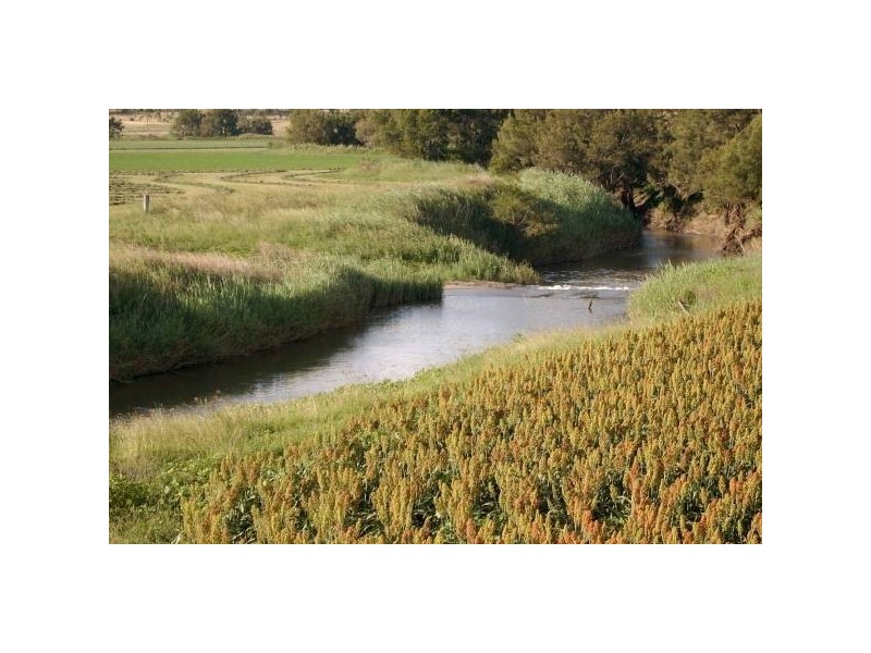 Elbow Valley QLD 4370