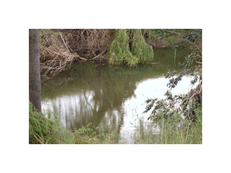 Emu Vale QLD 4371