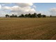 Emu Vale QLD 4371