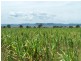 Killarney QLD 4373