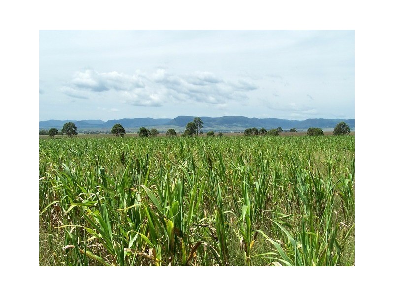 Killarney QLD 4373