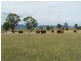 Killarney QLD 4373