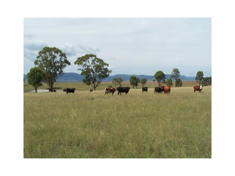 Killarney QLD 4373