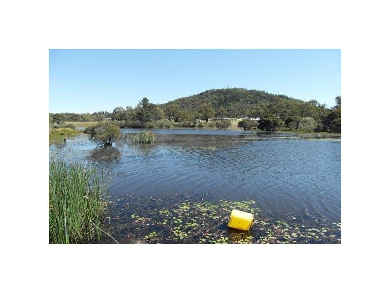 Stanthorpe QLD 4380
