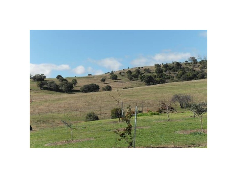 Tannymorel QLD 4372