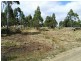 4 Brewis Place, Lake Leake TAS 7210