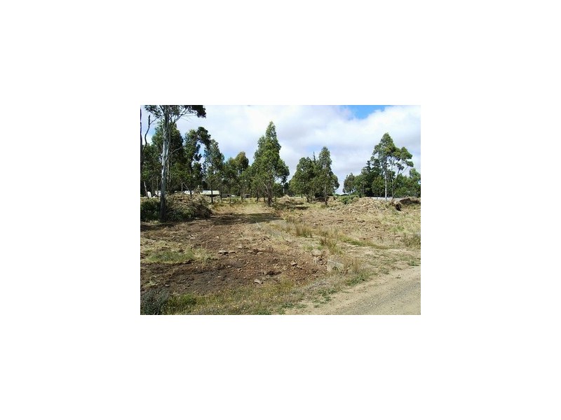 4 Brewis Place, Lake Leake TAS 7210