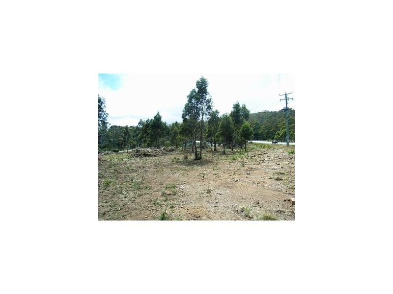 4 Brewis Place, Lake Leake TAS 7210