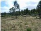4 Brewis Place, Lake Leake TAS 7210