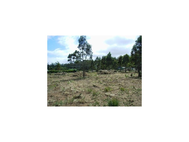 4 Brewis Place, Lake Leake TAS 7210