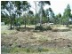 4 Brewis Place, Lake Leake TAS 7210